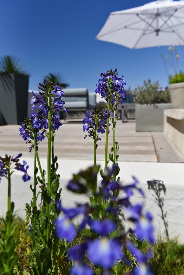 Vilacqua Boutique Guest Villa Plettenberg Bay Exterior photo